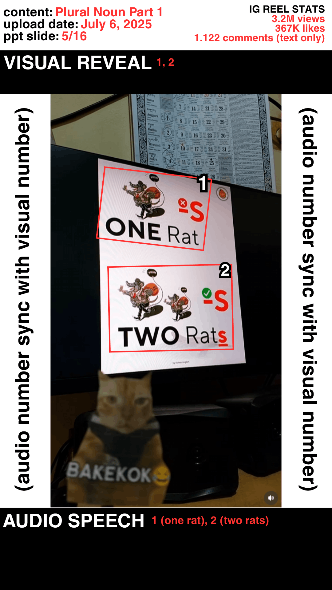 Slide 5