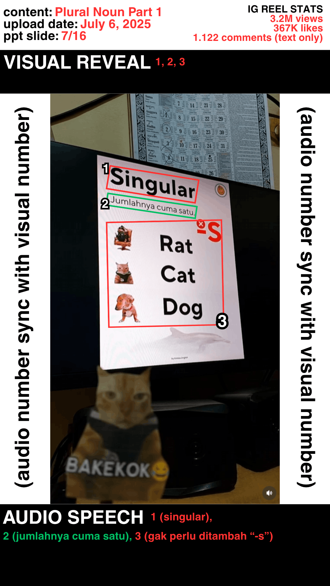 Slide 7